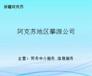 阿克苏地区攀源公司